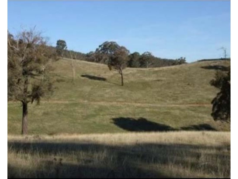 2102 Turondale Road, Turondale NSW 2795