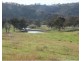 2102 Turondale Road, Turondale NSW 2795