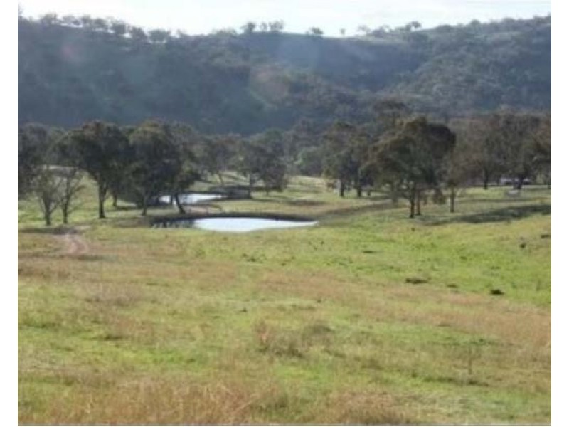 2102 Turondale Road, Turondale NSW 2795