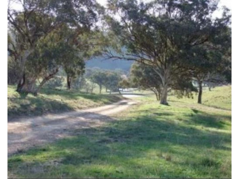 2102 Turondale Road, Turondale NSW 2795