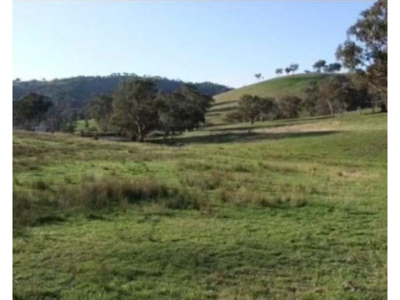 2102 Turondale Road, Turondale NSW 2795
