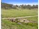 191 Jerrys Meadow Road, Sodwalls NSW 2790
