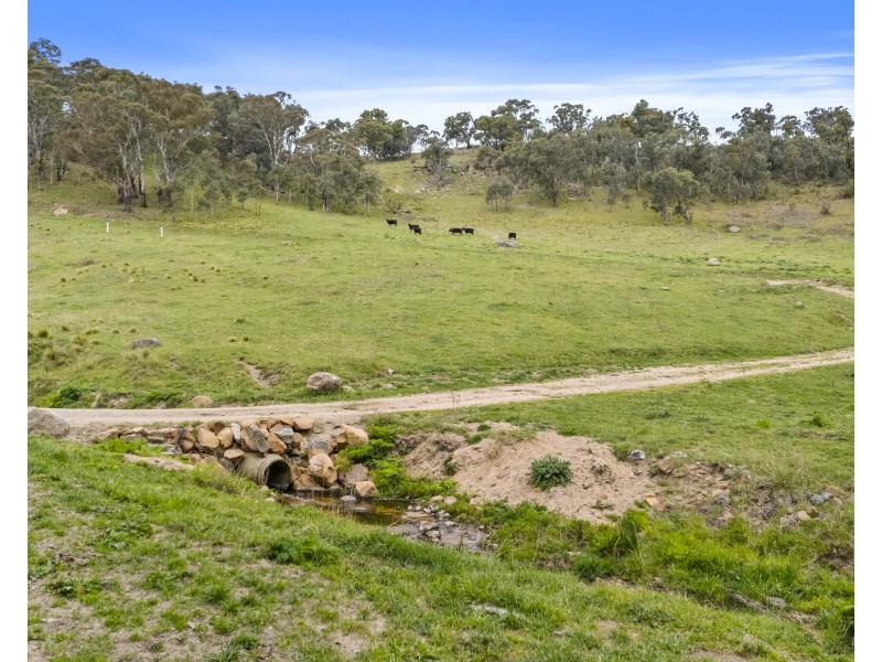 191 Jerrys Meadow Road, Sodwalls NSW 2790