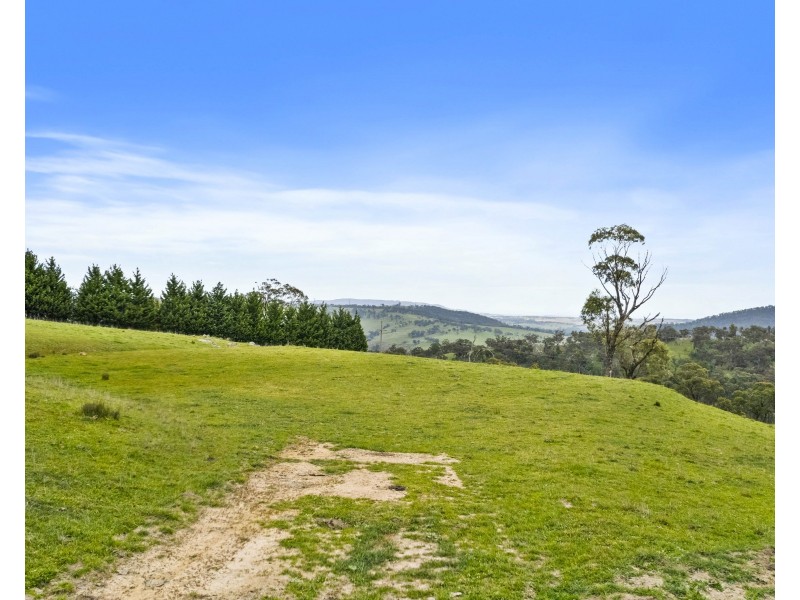 191 Jerrys Meadow Road, Sodwalls NSW 2790