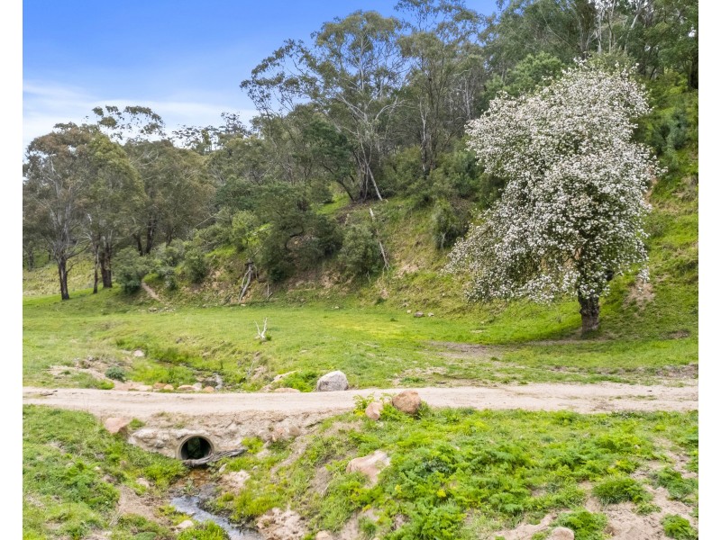 191 Jerrys Meadow Road, Sodwalls NSW 2790