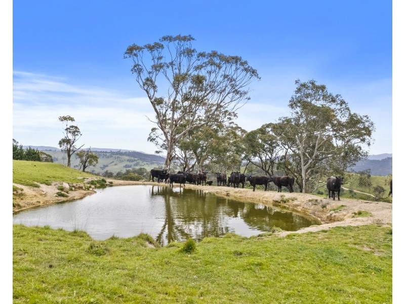 191 Jerrys Meadow Road, Sodwalls NSW 2790