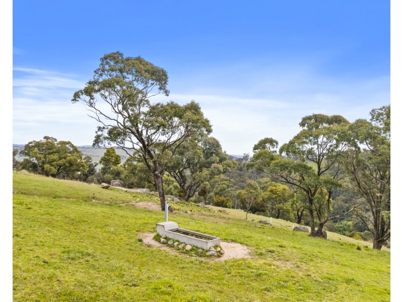 191 Jerrys Meadow Road, Sodwalls NSW 2790
