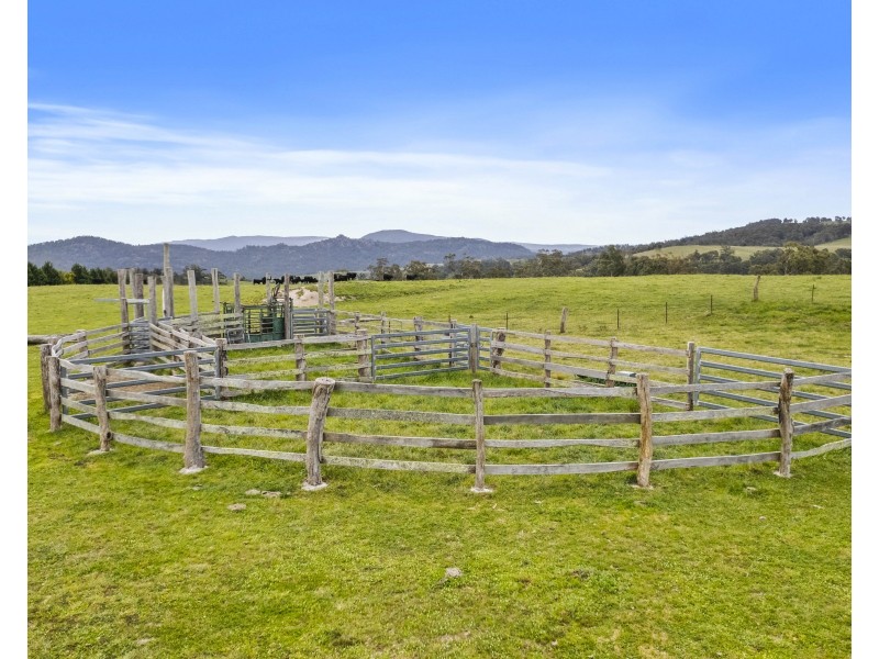 191 Jerrys Meadow Road, Sodwalls NSW 2790