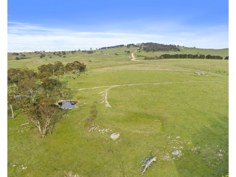 191 Jerrys Meadow Road, Sodwalls NSW 2790
