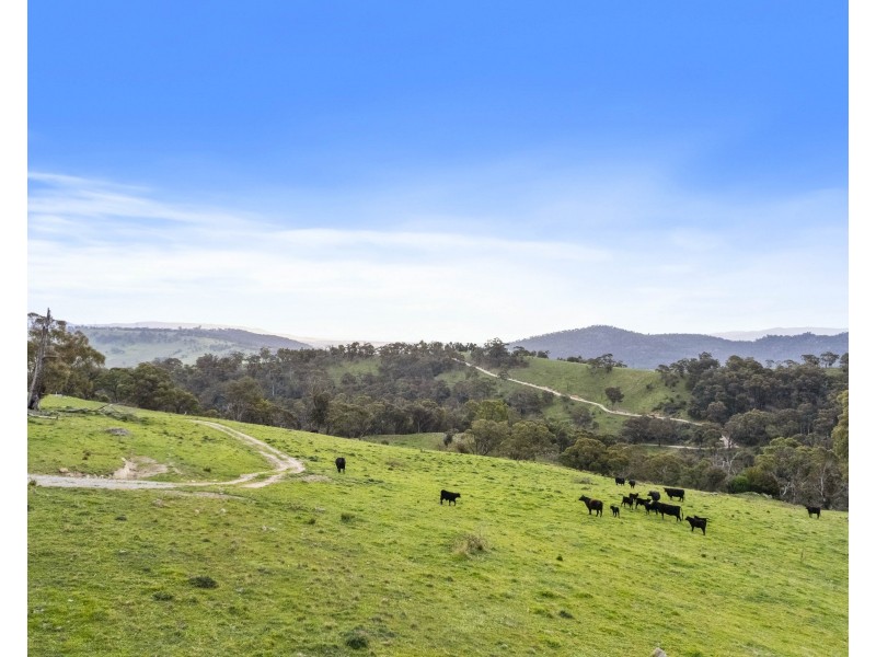 191 Jerrys Meadow Road, Sodwalls NSW 2790