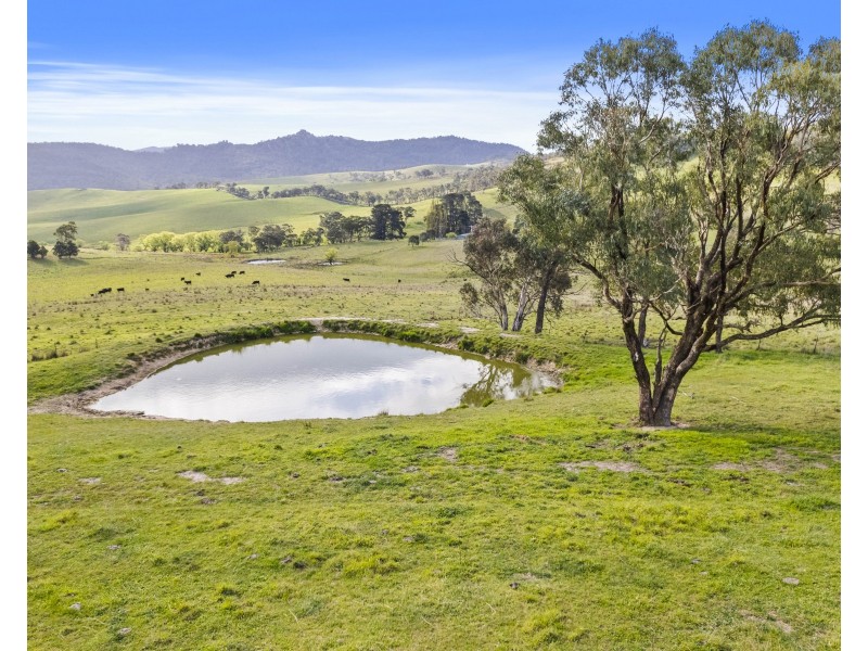 191 Jerrys Meadow Road, Sodwalls NSW 2790
