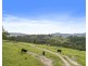 191 Jerrys Meadow Road, Sodwalls NSW 2790