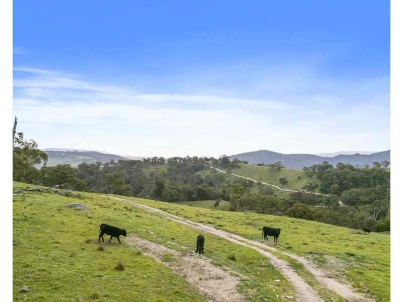 191 Jerrys Meadow Road, Sodwalls NSW 2790