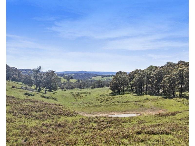 Hampton NSW 2790
