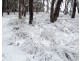Hampton NSW 2790