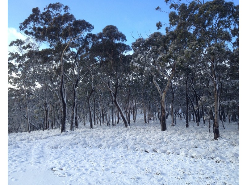 Hampton NSW 2790
