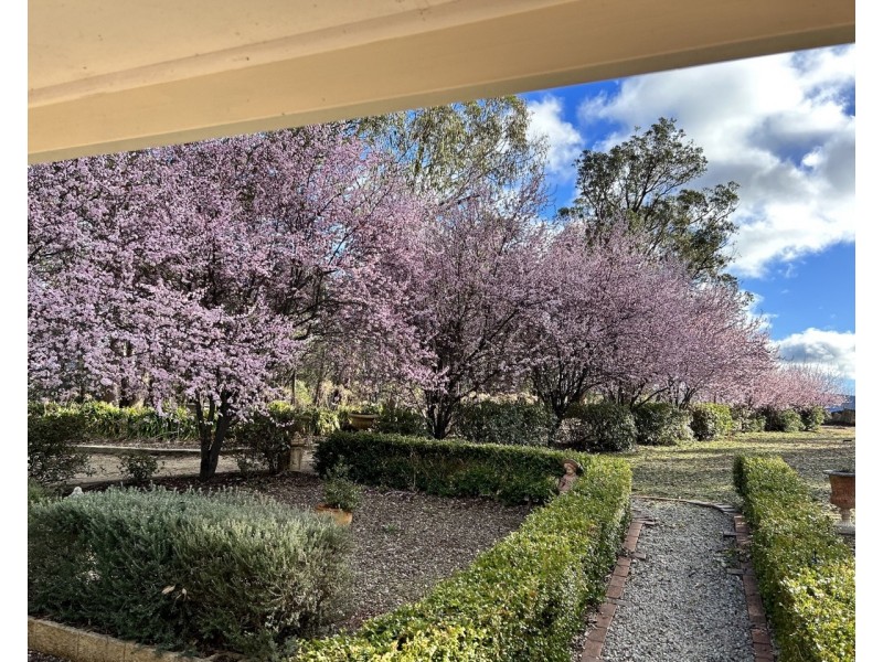 46 Carroll Drive, Hartley NSW 2790
