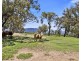88 Mortimers Road, Glen Davis NSW 2846