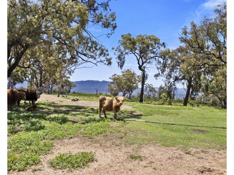 88 Mortimers Road, Glen Davis NSW 2846