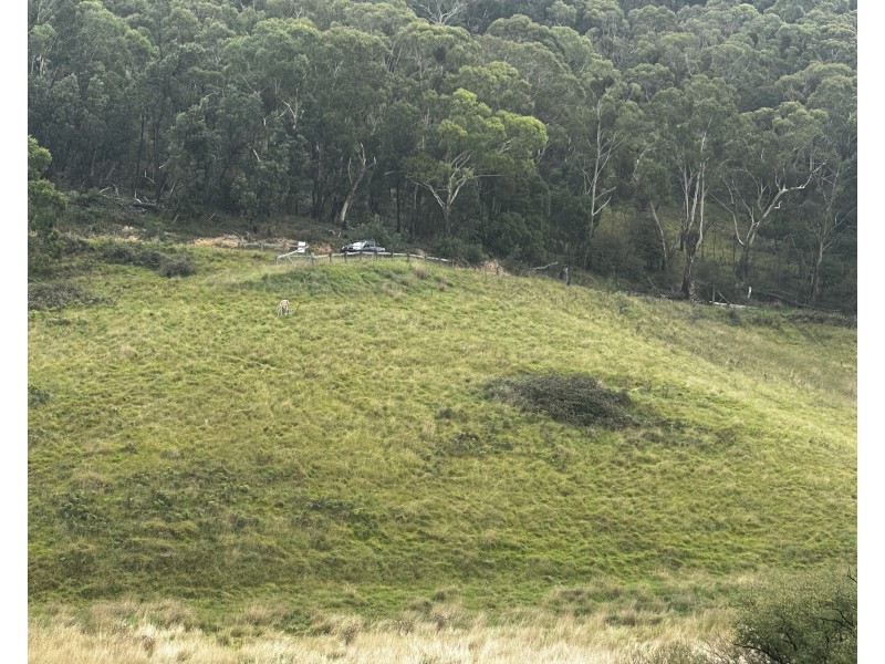 111 Old Bathurst Road, South Bowenfels NSW 2790