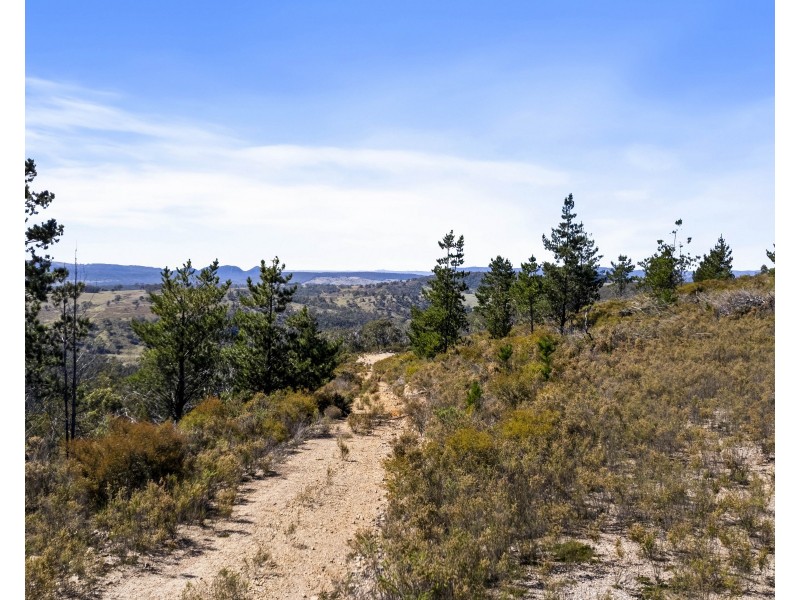 267 New Olivers Road, Running Stream NSW 2850