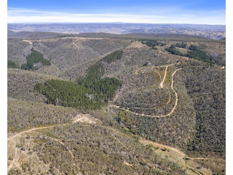 267 New Olivers Road, Running Stream NSW 2850