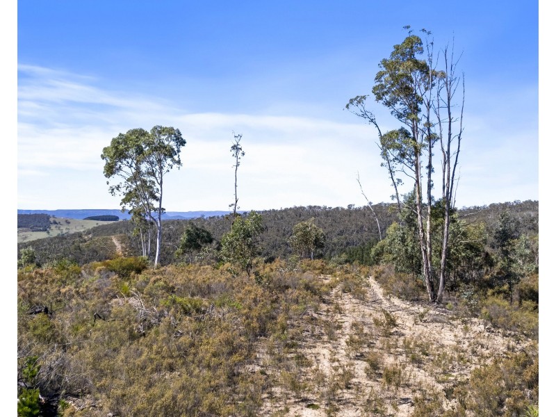 267 New Olivers Road, Running Stream NSW 2850