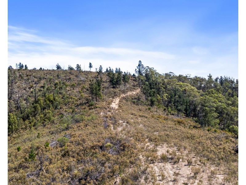 267 New Olivers Road, Running Stream NSW 2850