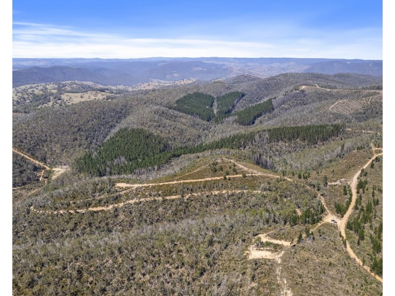 267 New Olivers Road, Running Stream NSW 2850