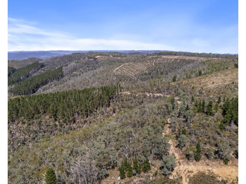 267 New Olivers Road, Running Stream NSW 2850