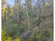 200 Bells Road, Lithgow NSW 2790