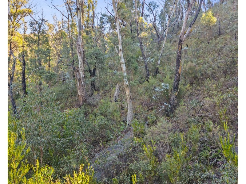 200 Bells Road, Lithgow NSW 2790