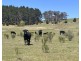 320 Camerons Road, Running Stream NSW 2850