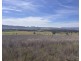 320 Camerons Road, Running Stream NSW 2850