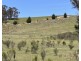 320 Camerons Road, Running Stream NSW 2850