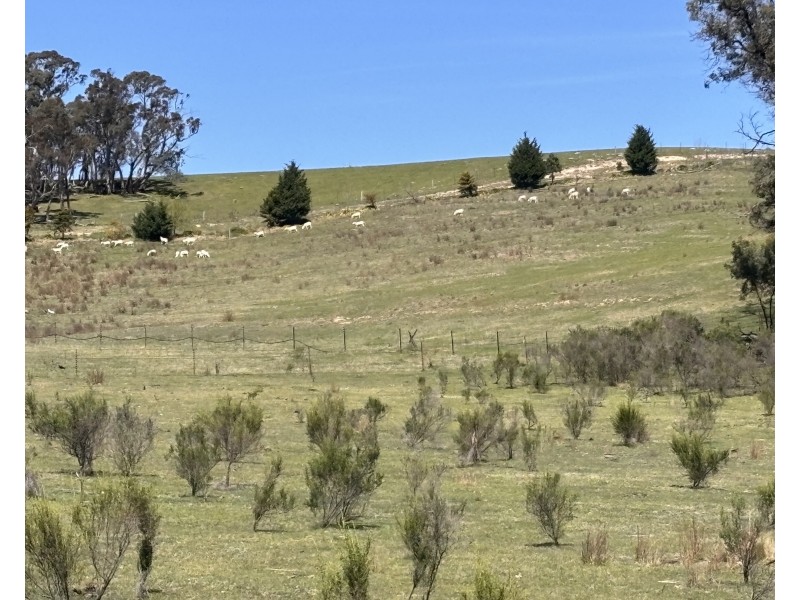 320 Camerons Road, Running Stream NSW 2850
