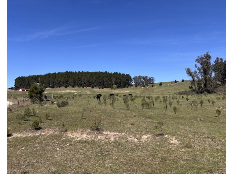 320 Camerons Road, Running Stream NSW 2850