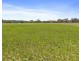 Lot 8 & Lot 15/1043 Pipers Flat Road, Portland NSW 2847