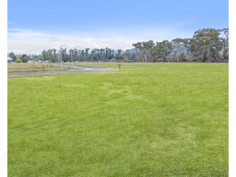 19 Carriers Arms Close, Lidsdale NSW 2790