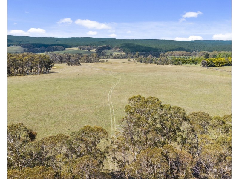 2/385 Jerula Road, Mozart NSW 2787