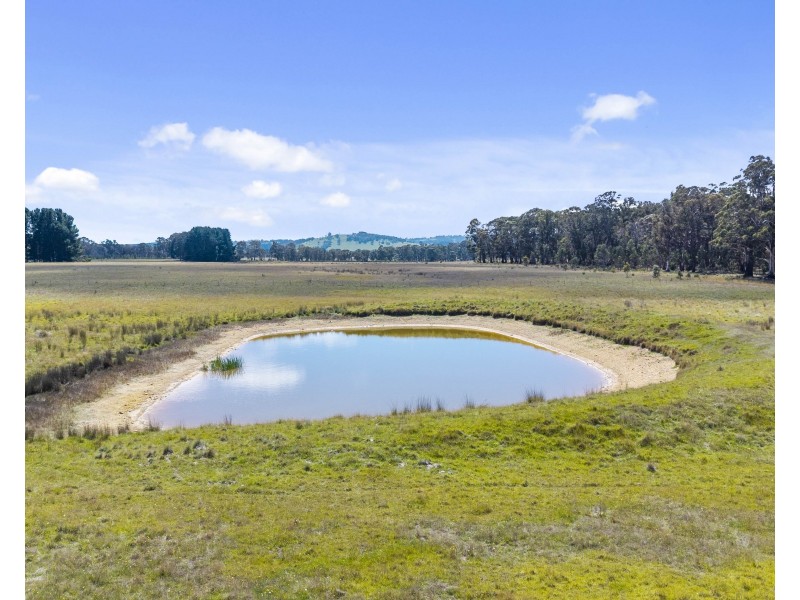 2/385 Jerula Road, Mozart NSW 2787