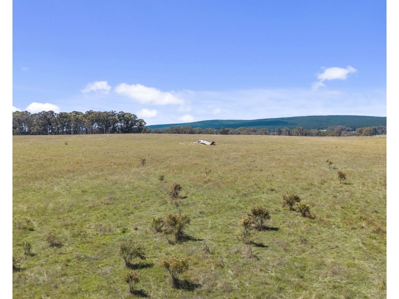 2/385 Jerula Road, Mozart NSW 2787