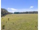 2/385 Jerula Road, Mozart NSW 2787
