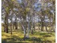 2/385 Jerula Road, Mozart NSW 2787