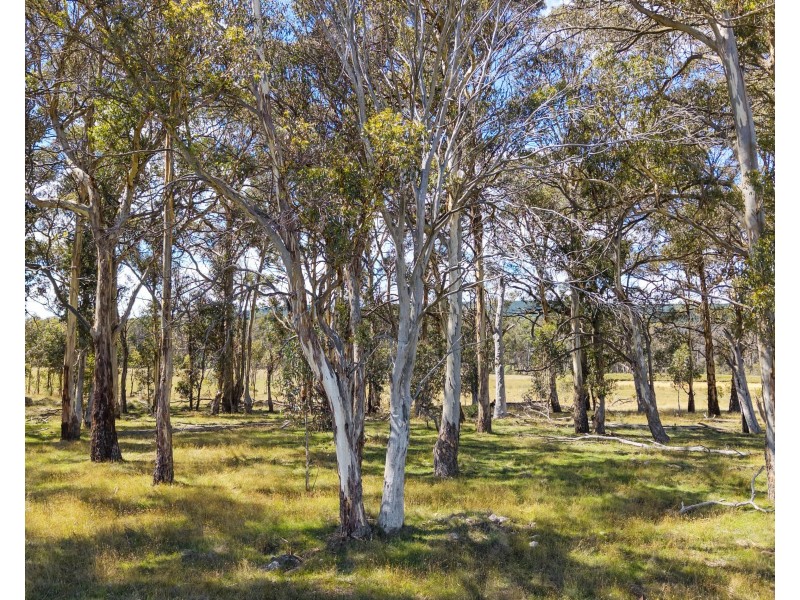 2/385 Jerula Road, Mozart NSW 2787