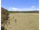 2/385 Jerula Road, Mozart NSW 2787