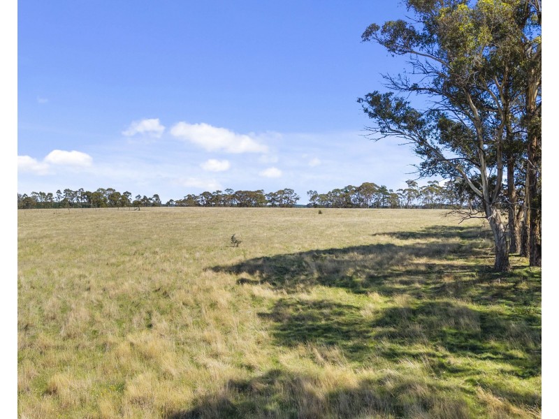 2/385 Jerula Road, Mozart NSW 2787