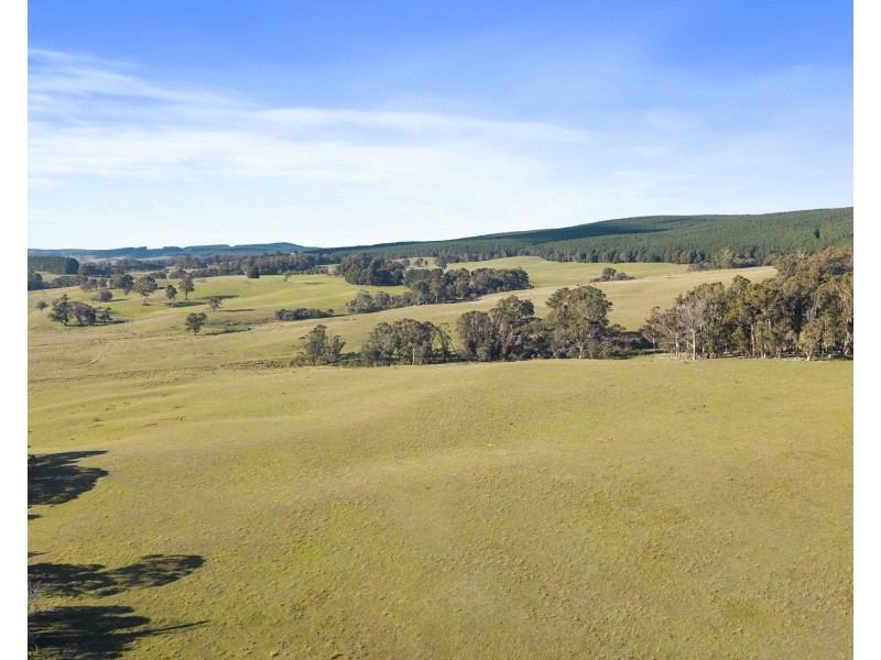 385 Jerula Road, Mozart NSW 2787