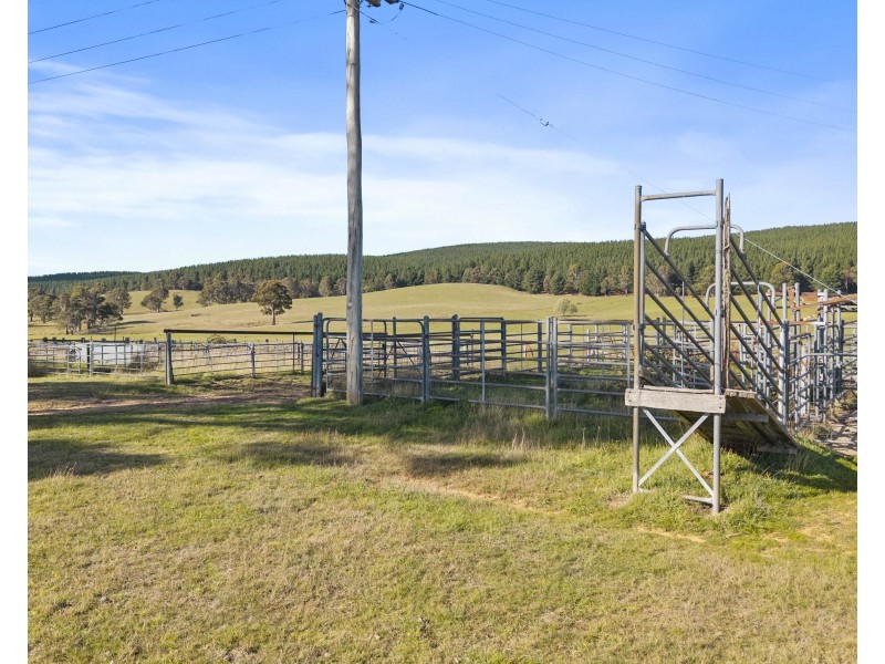 385 Jerula Road, Mozart NSW 2787