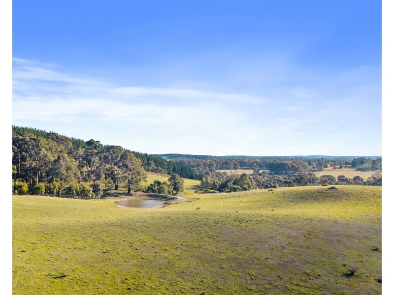 385 Jerula Road, Mozart NSW 2787